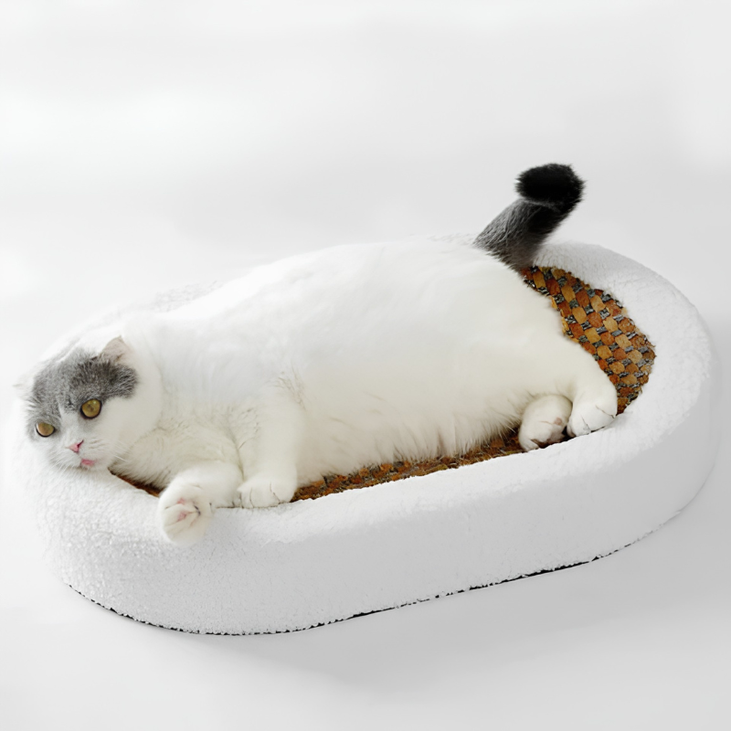 Pawzen - Kratzbaum für Katzen mit Rattanrahmen und Fleecedetails