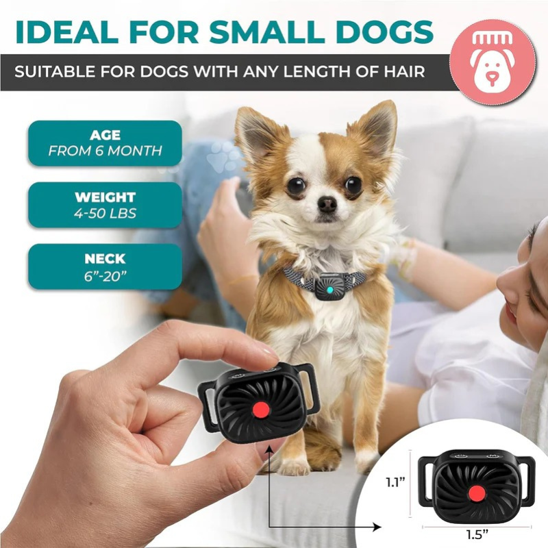 Antibellhalsband für kleine Hunde mit Ton & Vibration