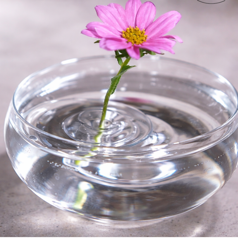 Blumenhalter für aufrechte Blumenarrangements | 5+5 GRATIS