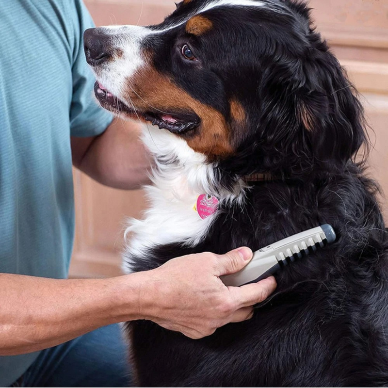 Haustier-Trimmer Knotenfrei für Hunde & Katzen