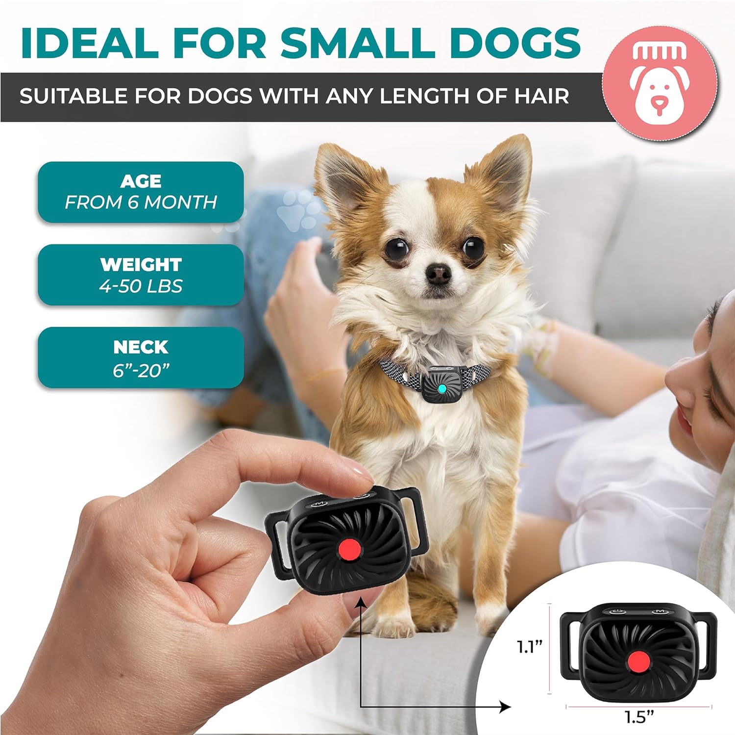 Antibellhalsband für kleine Hunde mit Ton & Vibration