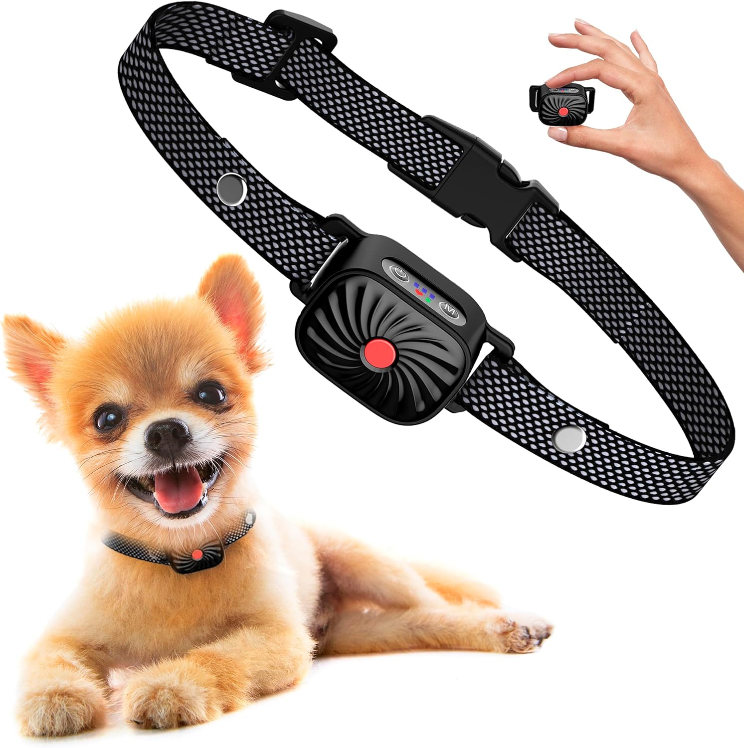 Antibellhalsband für kleine Hunde mit Ton & Vibration