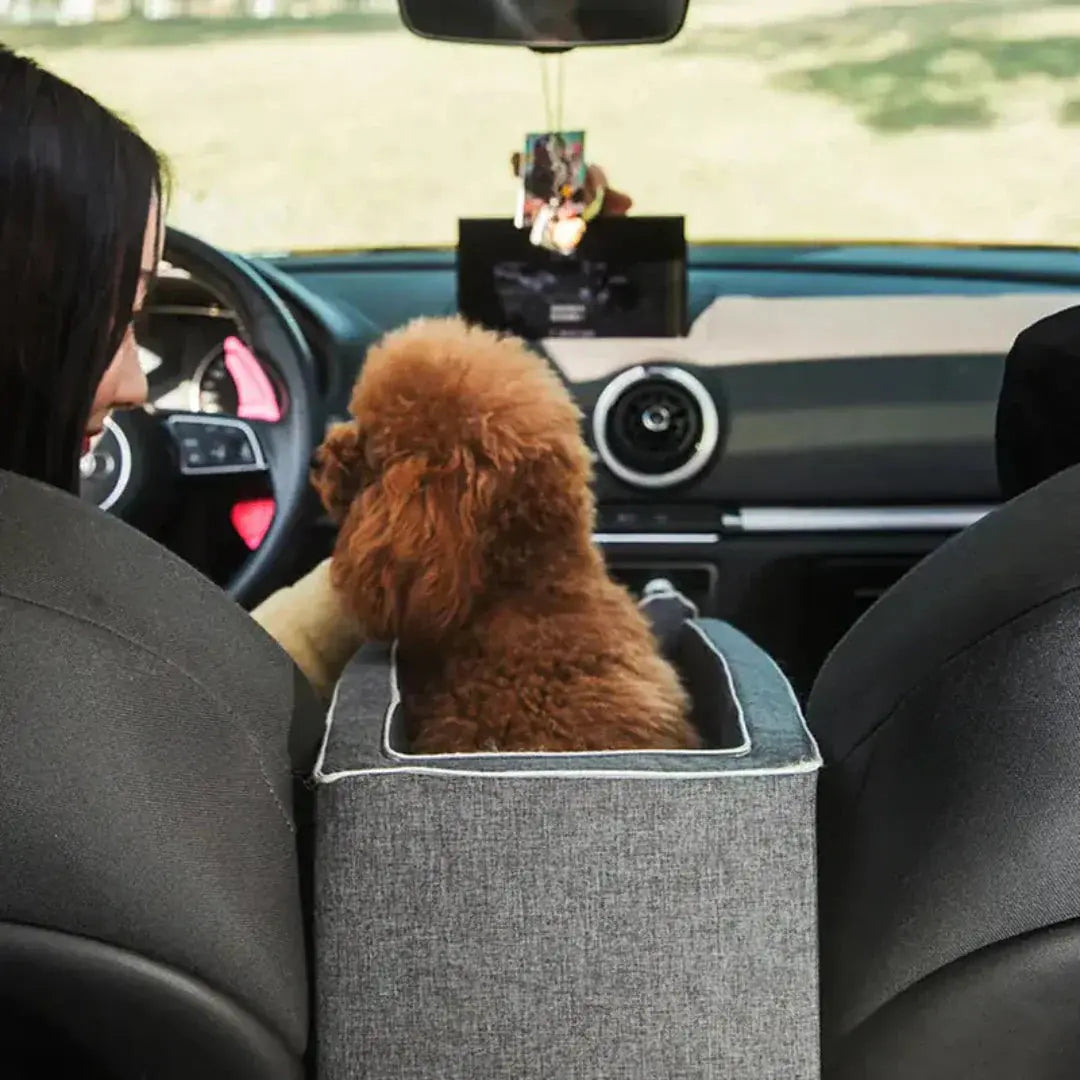 Hundesitz | Erhöhter Autositz | Sicherer Halt Durch Gurte | PawRide