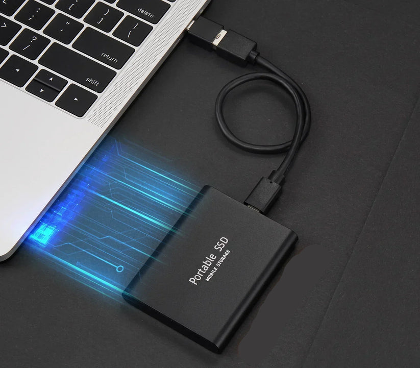 Externe SSD USB 3.1 Type-C 1000 MB/s