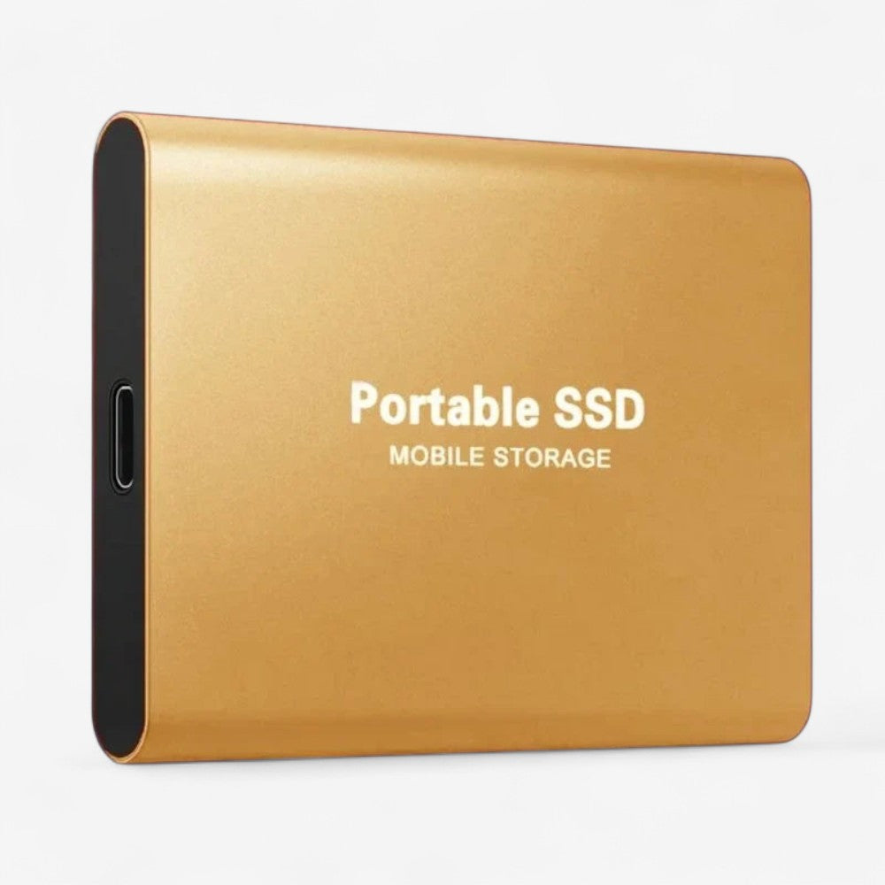 DataSprint - Tragbare externe SSD mit USB-Schnittstelle