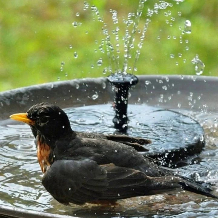 Floatune - Solar-Gartenbrunnen zum Schwimmen für Teiche und Vogelbäder