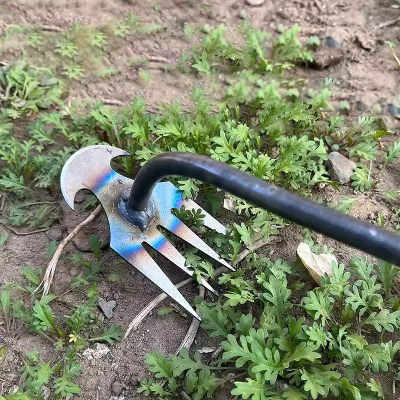 Extractor - Unkrautstecher für Gartenbeete, Fugen und Rasenkanten