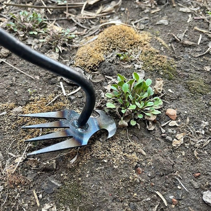 Extractor - Unkrautstecher für Gartenbeete, Fugen und Rasenkanten