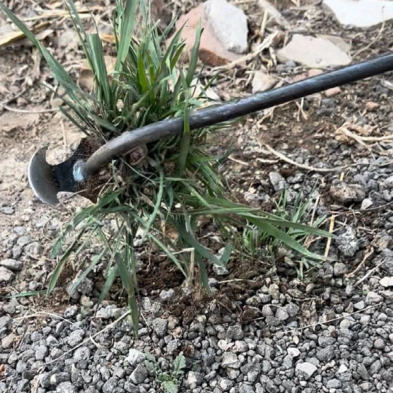 Extractor - Unkrautstecher für Gartenbeete, Fugen und Rasenkanten