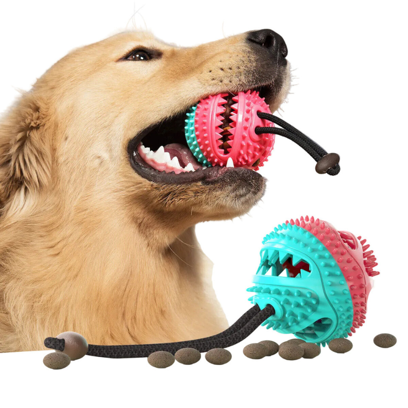 Hundespielzeug mit Saugnapf Ball und Leckerli Funktion