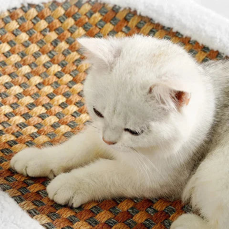 Pawzen - Kratzbaum für Katzen mit Rattanrahmen und Fleecedetails