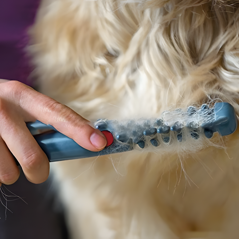 Haustier-Trimmer Knotenfrei für Hunde & Katzen
