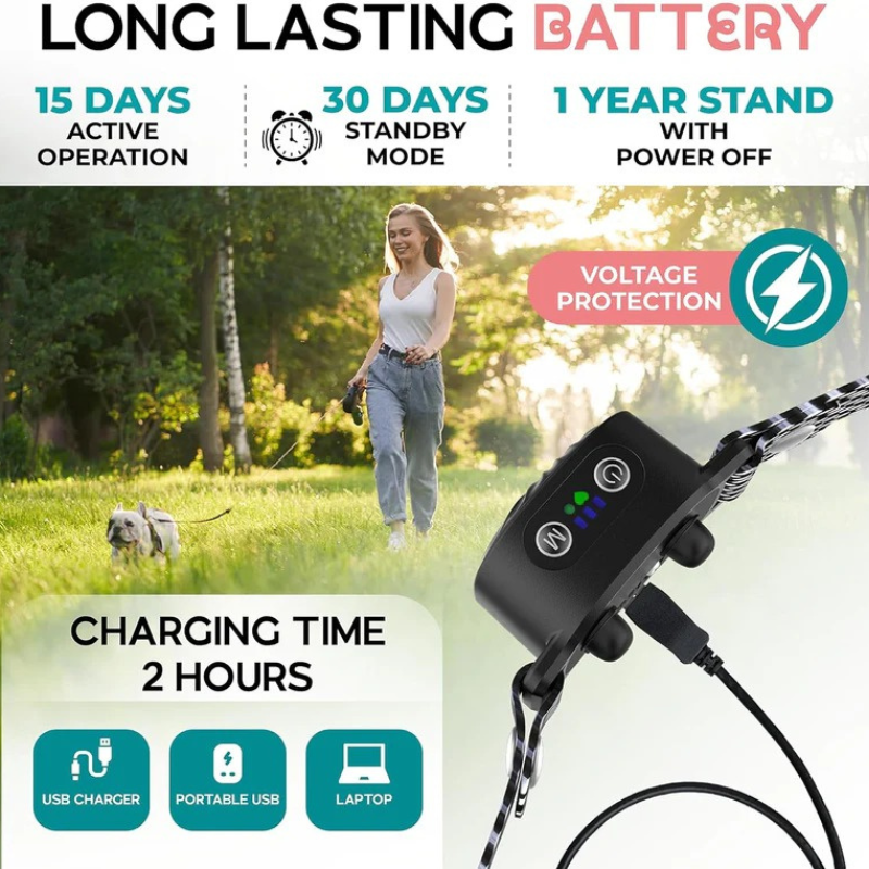 Antibellhalsband für kleine Hunde mit Ton & Vibration