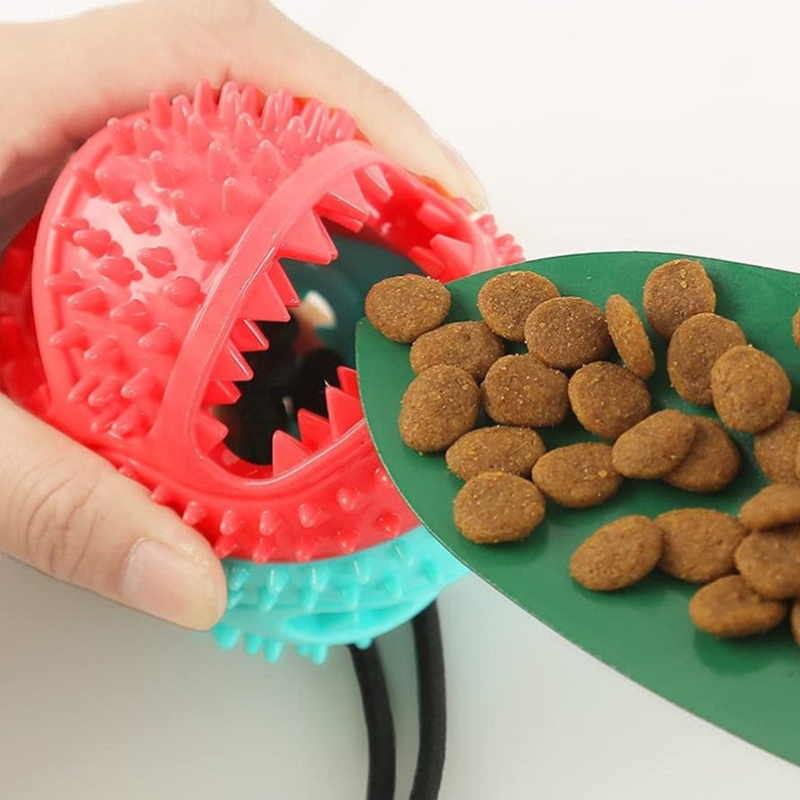 Hundespielzeug mit Saugnapf Ball und Leckerli Funktion