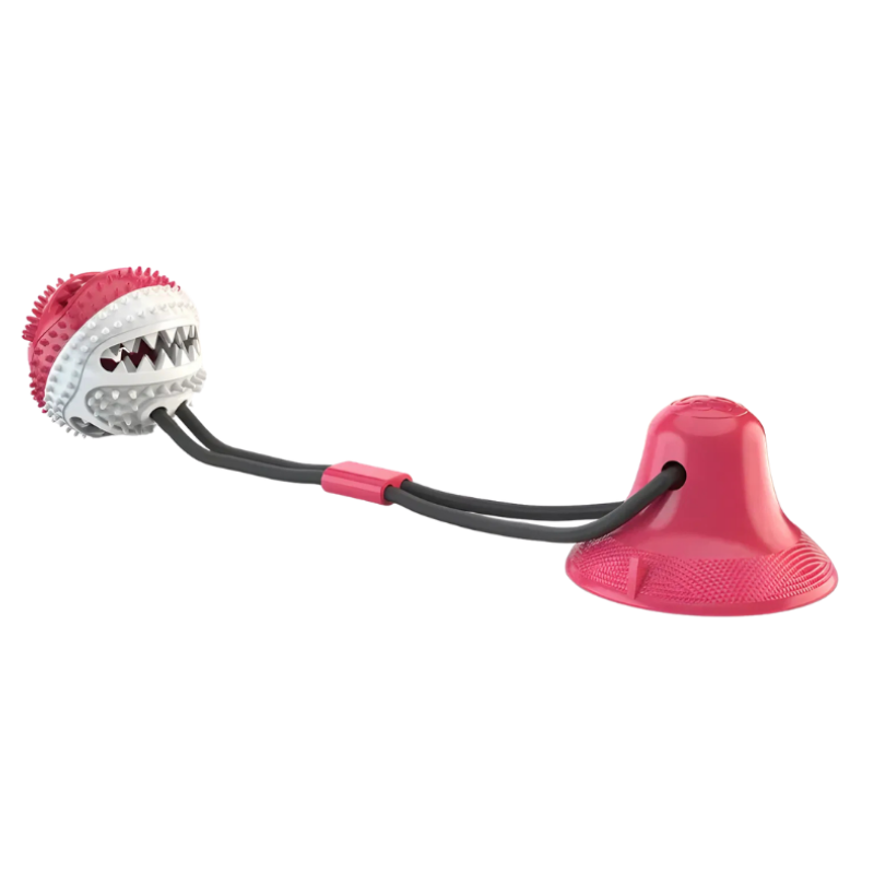 Hundespielzeug mit Saugnapf Ball und Leckerli Funktion