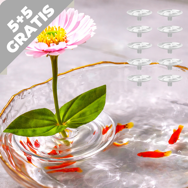 Blumenhalter für aufrechte Blumenarrangements | 5+5 GRATIS