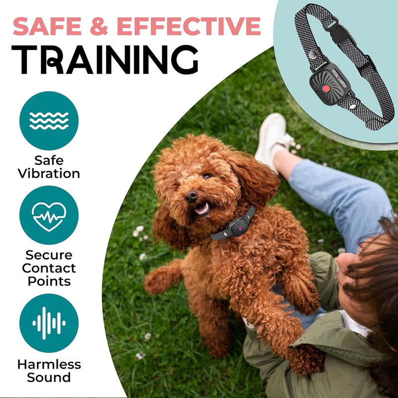 Antibellhalsband für kleine Hunde mit Ton & Vibration