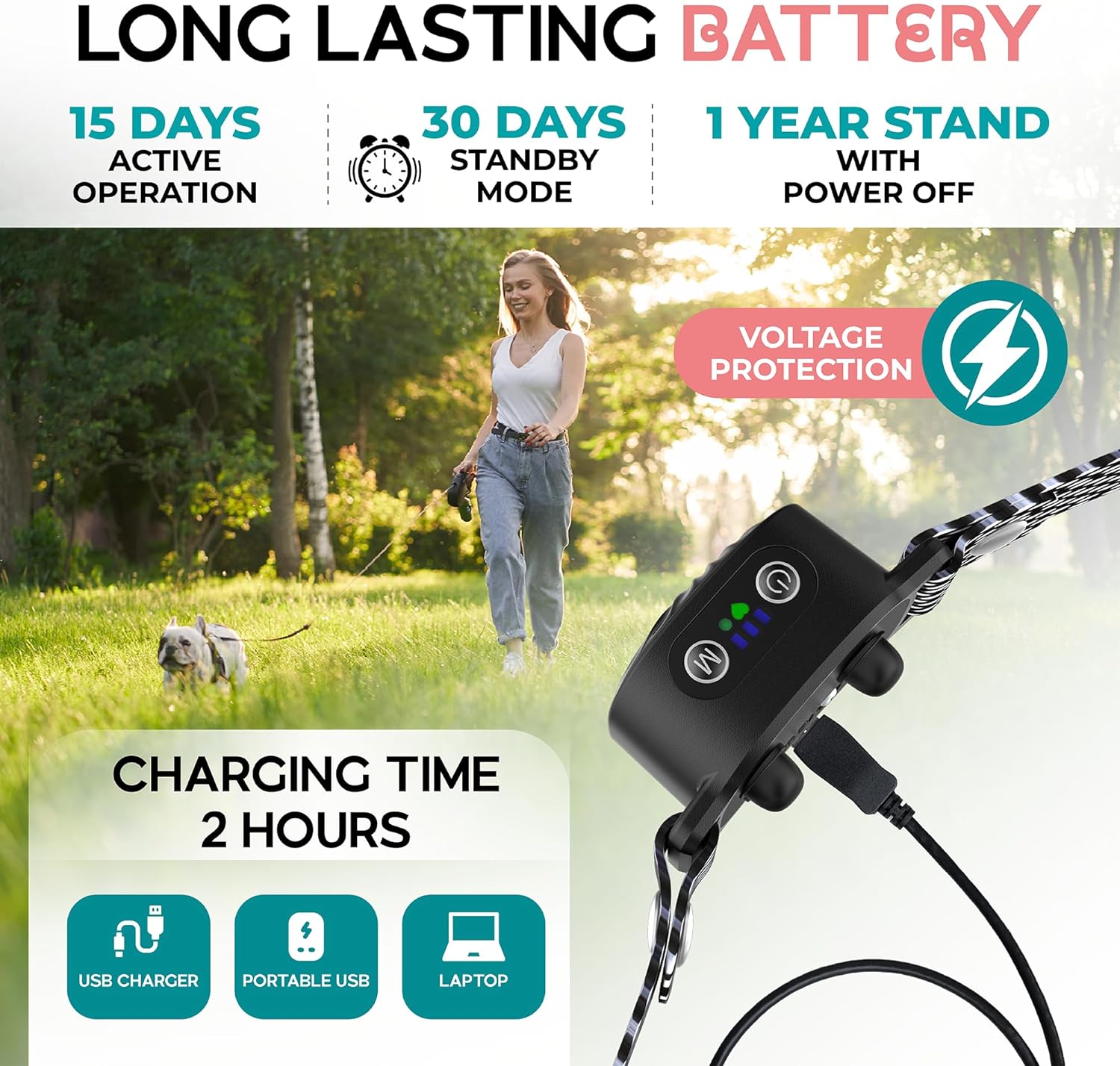 Antibellhalsband für kleine Hunde mit Ton & Vibration