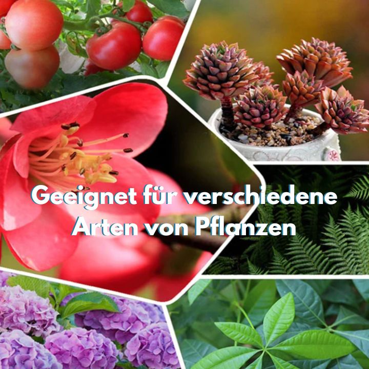 1+1 Gratis | Rootiva - Pflanzennährstoff-Tabletten mit Langzeitwirkung
