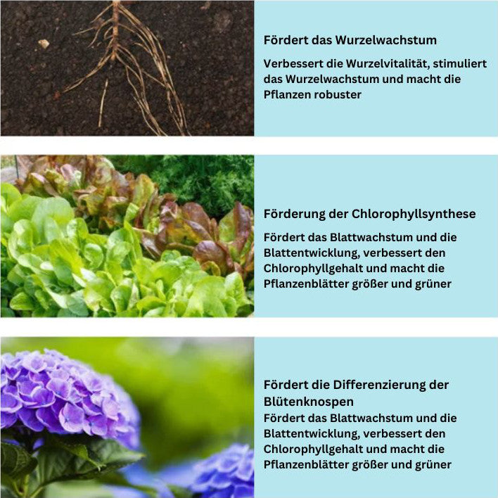 1+1 Gratis | Rootiva - Pflanzennährstoff-Tabletten mit Langzeitwirkung