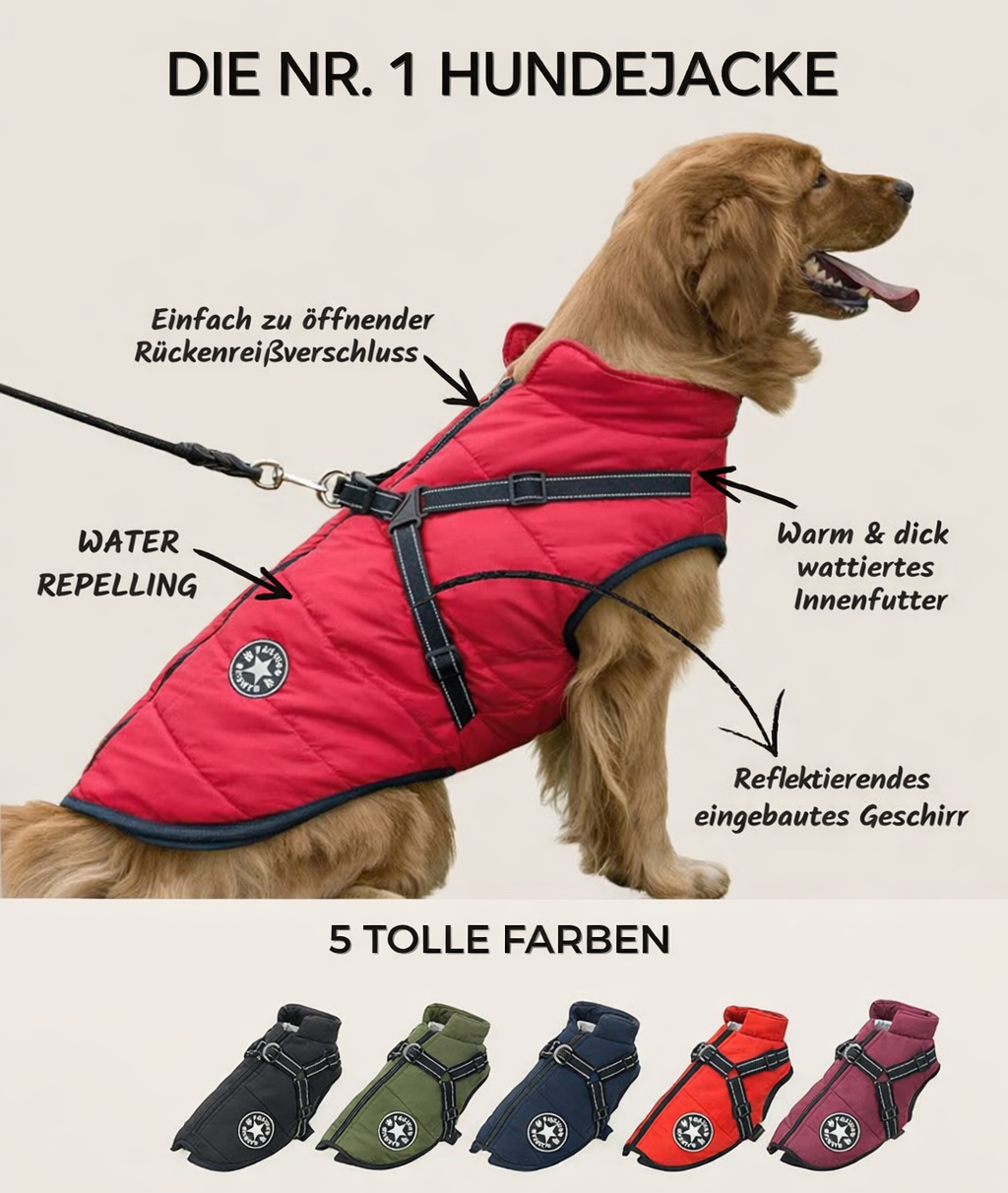 Hundejacke | Wind- & Wasserabweisend | Integriertes Geschirr | DoggyKönig